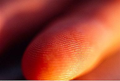 《妮姬胜利女神》×《潜水员戴夫》双向联动宣传片 7月4日上线